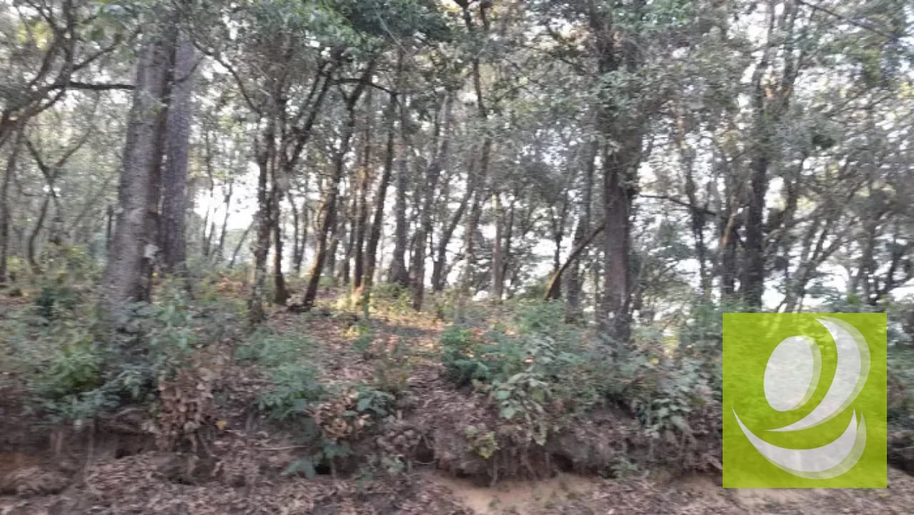 Terreno en Venta en El Encinal Zona 7 Mixco — Terreno en Venta en Zona 7 Mixco, Guatemala, Ciudad — foto 1 de 8