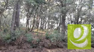 Terreno en Venta en El Encinal Zona 7 Mixco — Terreno en Venta en Zona 7 Mixco, Guatemala, Ciudad — miniatura 1 de 8