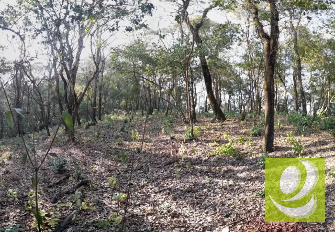 Terreno en Venta en El Encinal Zona 7 Mixco — Terreno en Venta en Zona 7 Mixco, Guatemala, Ciudad — foto 2 de 8