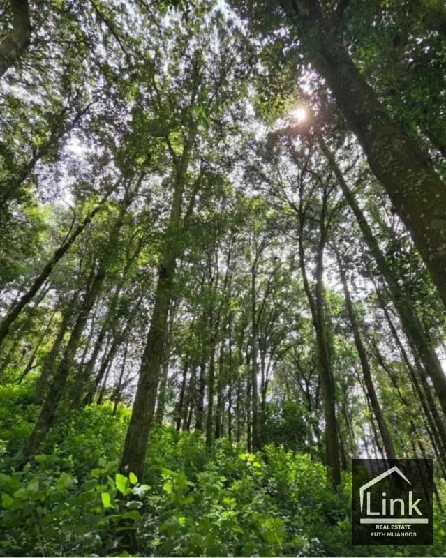 TERRENOS EN VENTA EN TECPAN CHIMALTENANGO - 14
