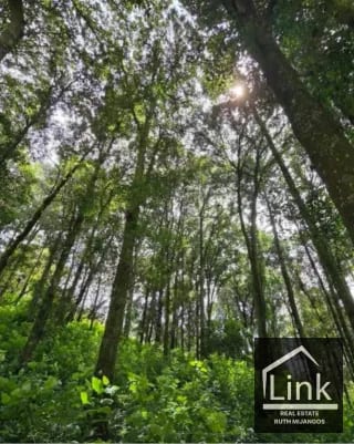 TERRENOS EN VENTA EN TECPAN CHIMALTENANGO — Terreno en Venta en Tecpán, Chimaltenango — miniatura 1 de 14