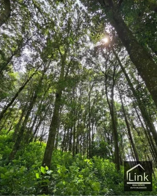 TERRENOS EN VENTA EN TECPAN CHIMALTENANGO — Terreno en Venta en Tecpán, Chimaltenango — foto 1 de 14