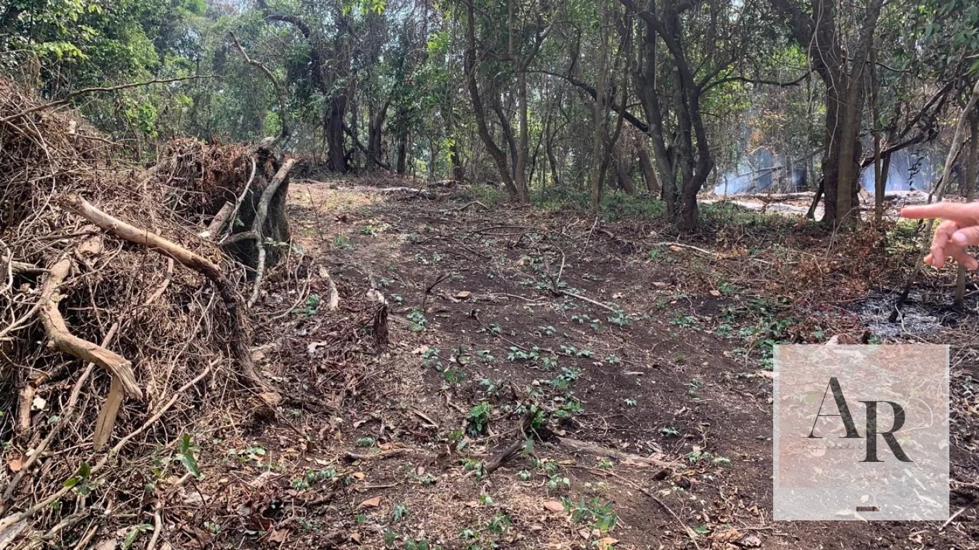 Terreno en venta Santa Elena Barillas - 1