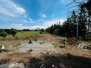 ALQUILO TERRENO EN LO DE DIÉGUEZ 10,000 Varas Semi Planas — Terreno en Alquiler en Carretera a El Salvador, Guatemala, Ciudad — miniatura 4 de 5