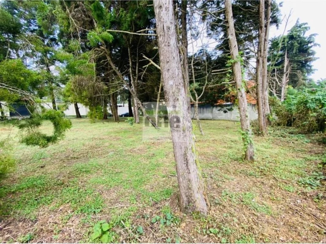 Km 21 Loma Point Vendo Terreno 359 Mts Plano — Terreno en Venta en Carretera a El Salvador, Guatemala, Ciudad — foto 2 de 3