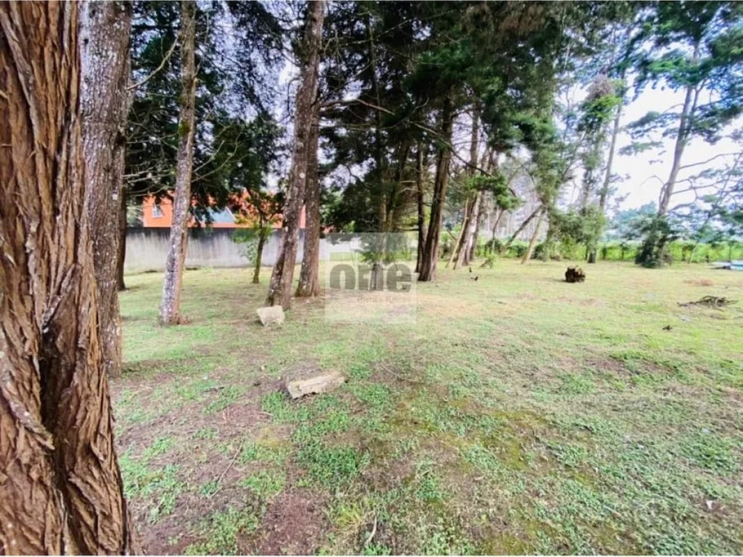 Km 21 Loma Point Vendo Terreno 359 Mts Plano — Terreno en Venta en Carretera a El Salvador, Guatemala, Ciudad — foto 3 de 3