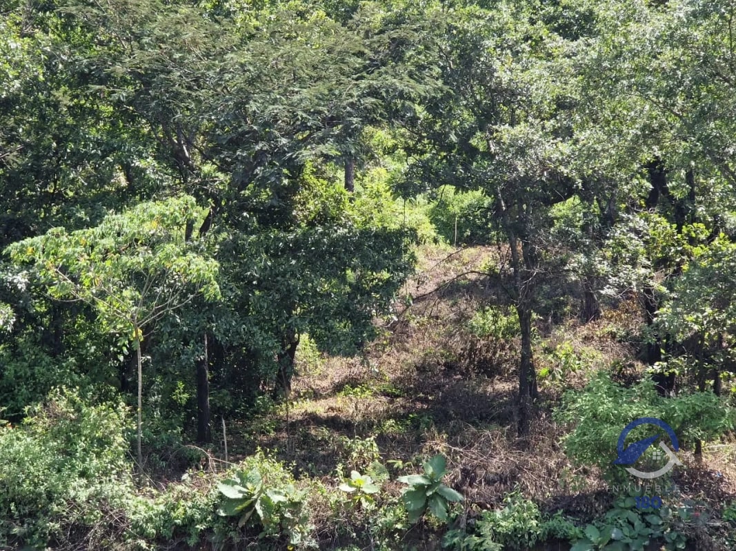 Terreno en venta en la Carretera Interamericana, km 46.3, Quintas del Tejar - 2