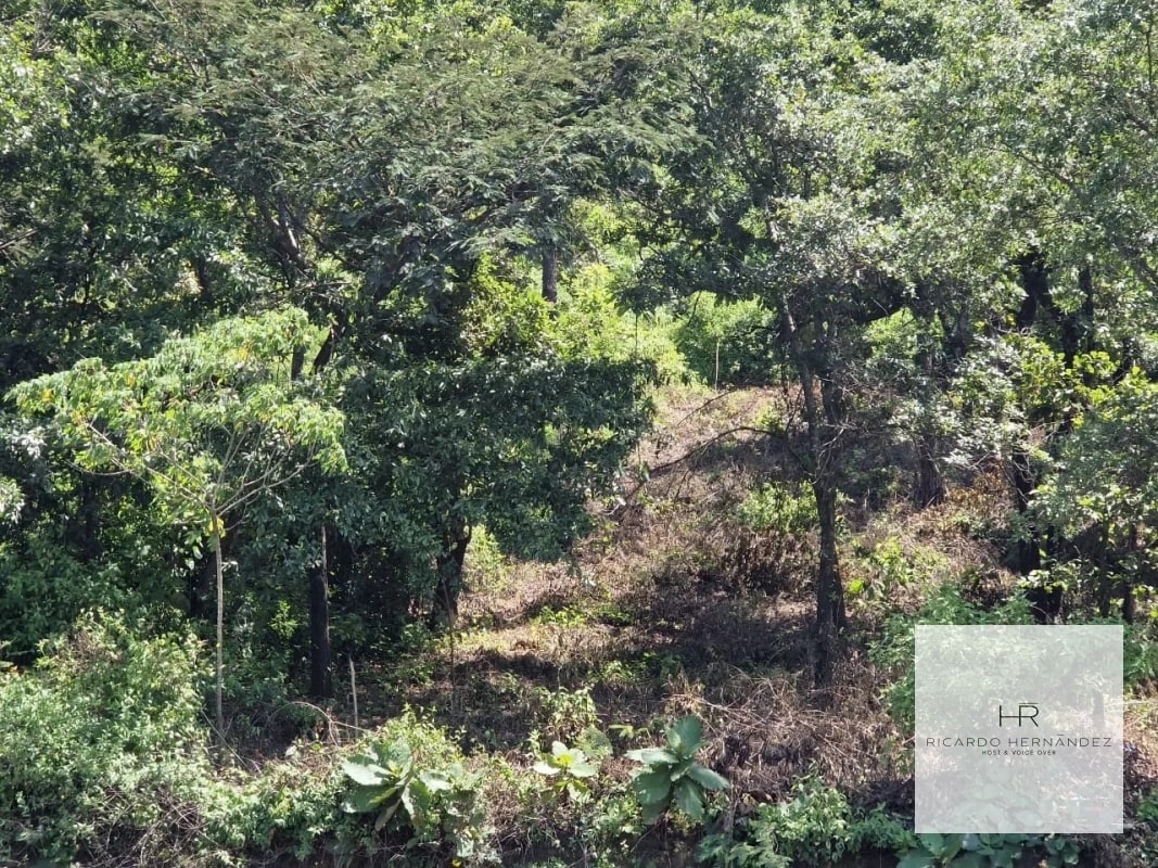 Venta de terreno en Sumpango - 1