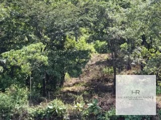 Venta de terreno en Sumpango — Terreno en Venta en San Pedro Sacatepéquez, Sacatepéquez — miniatura 2 de 6