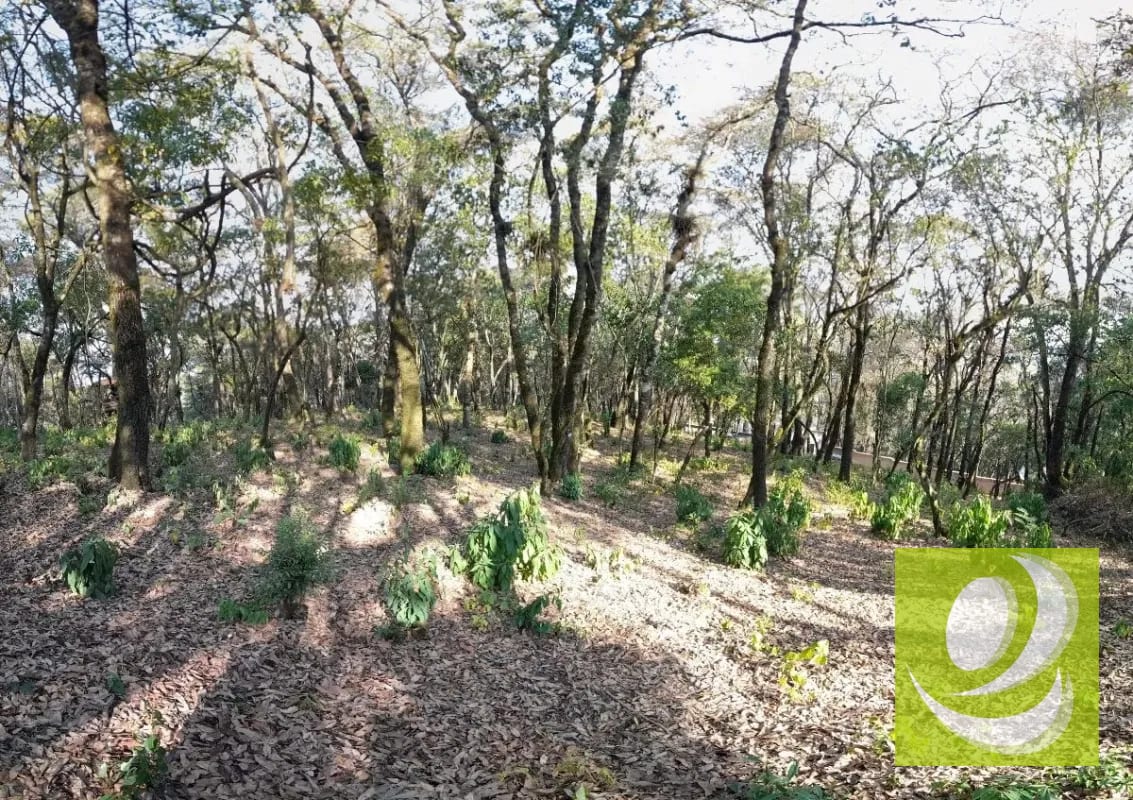 Vendo Terreno en El Encinal — Terreno en Venta en El Encinal, Zona 7 Mixco, Guatemala, Ciudad — foto 5 de 6