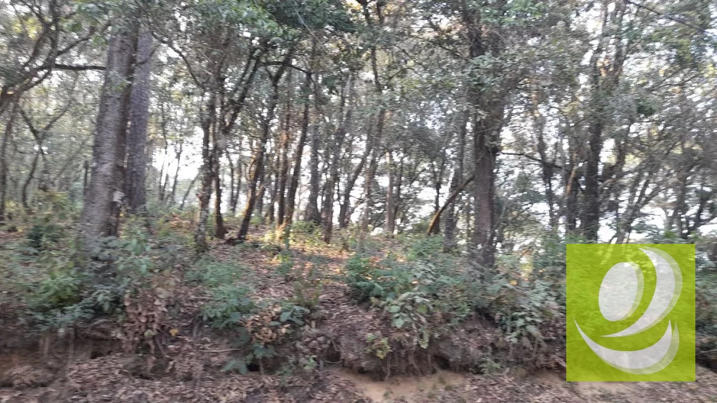 Vendo Terreno en El Encinal - 2
