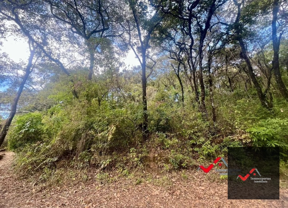 Terreno en Venta  Labor de Castilla II, Zona 9 de Mixco - 5