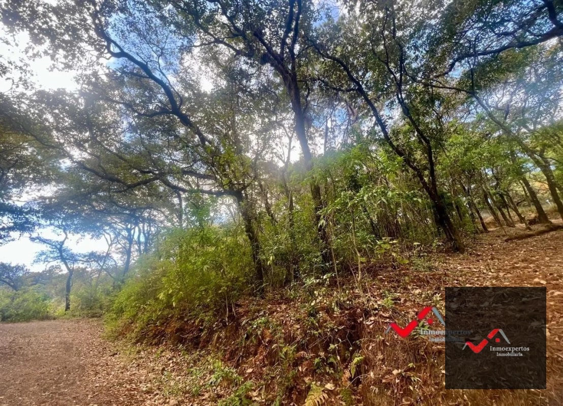 Terreno en Venta  Labor de Castilla II, Zona 9 de Mixco - 4