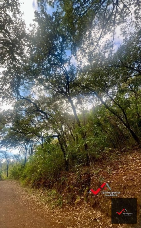 Terreno en Venta Labor de Castilla II, Zona 9 de Mixco - 3