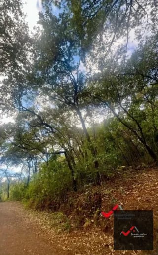 Terreno en Venta  Labor de Castilla II, Zona 9 de Mixco — Terreno en Venta en Zona 9, Guatemala, Ciudad — miniatura 4 de 5