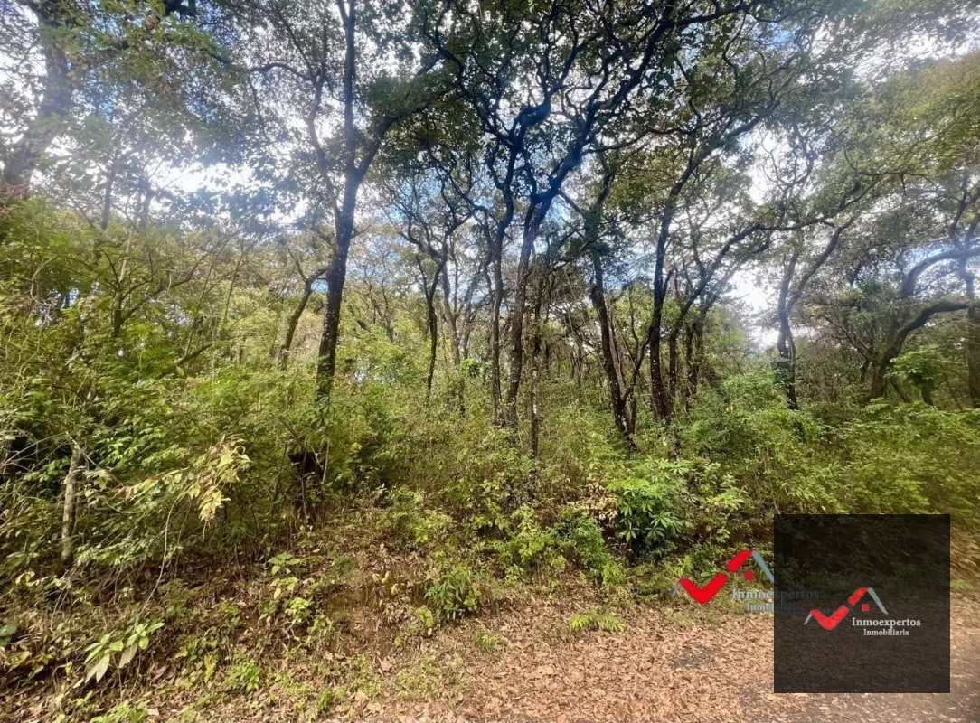 Terreno en Venta Labor de Castilla II, Zona 9 de Mixco - 2