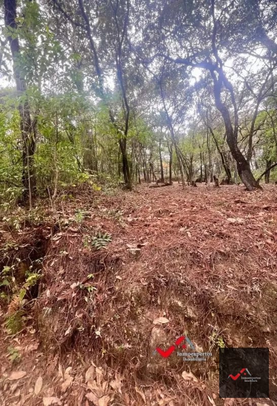 Terreno en Venta Labor de Castilla II, Zona 9 de Mixco — Terreno en Venta en Zona 9, Guatemala, Ciudad — foto 2 de 5