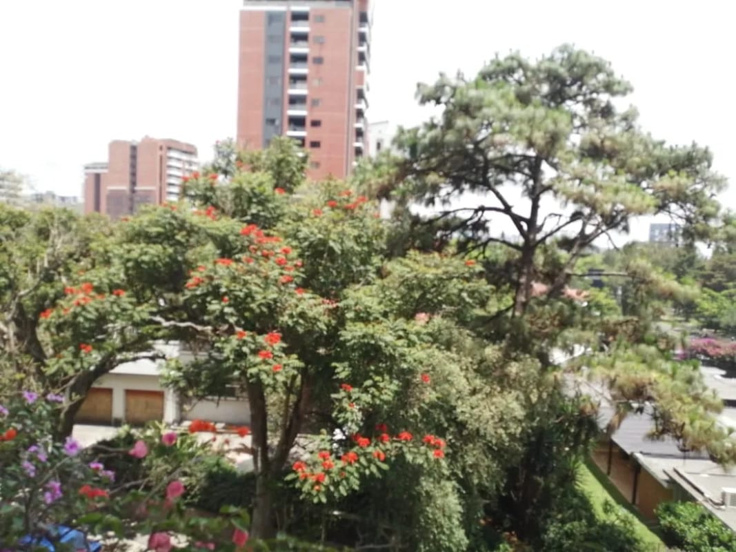 Apartamento Venta Zona 14 — Apartamento en Venta en Zona 14, Guatemala, Ciudad — foto 7 de 9