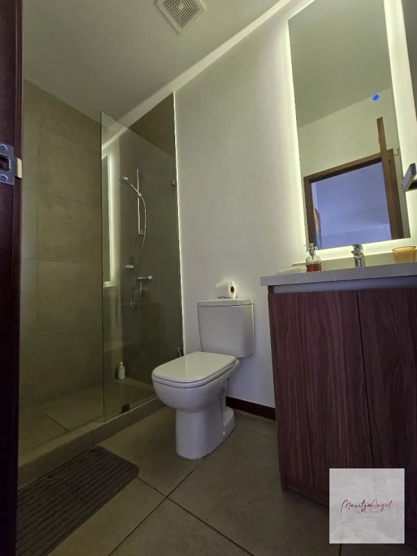 APARTAMENTO AMUEBLADO EN RENTA , EDIFICIO BRUNELO - 3
