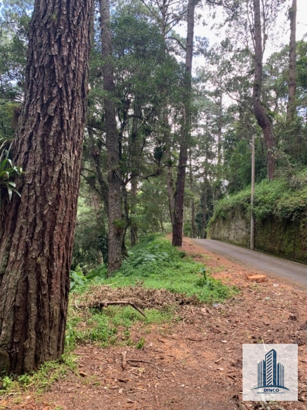Vendo Terreno km 14.5 San Jorge Muxbal - 1