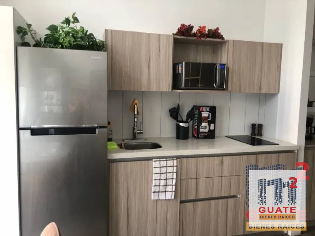 Apartamento en Renta, Zona 13 - 6