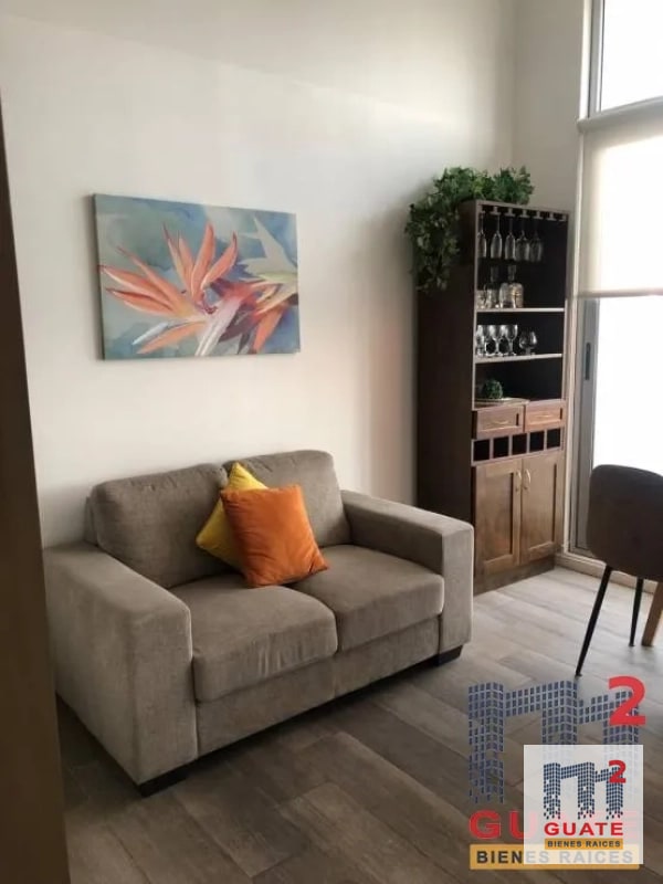 Apartamento en Renta, Zona 13 - 5