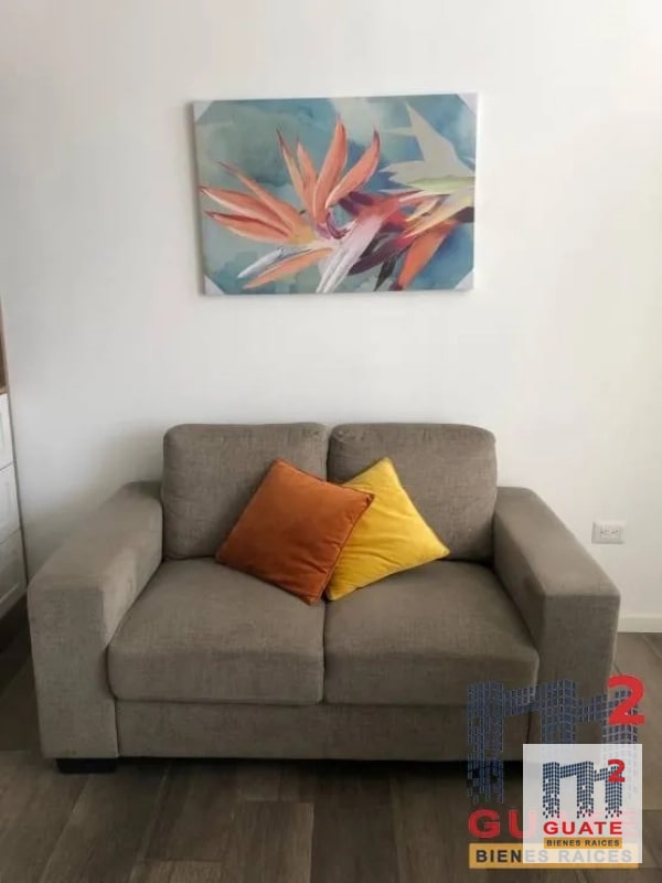 Apartamento en Renta, Zona 13 - 3