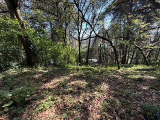 Venta de Terreno en San Juan Sacatepequez — Terreno en Venta en San Juan Sacatepéquez, Sacatepéquez — miniatura 2 de 2