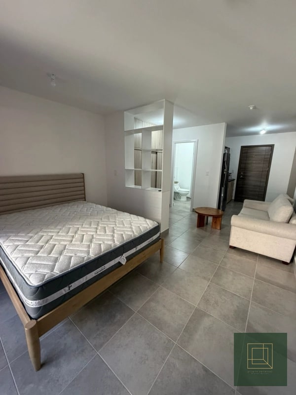 Apartamento tipo estudio en renta zona 4 - 9