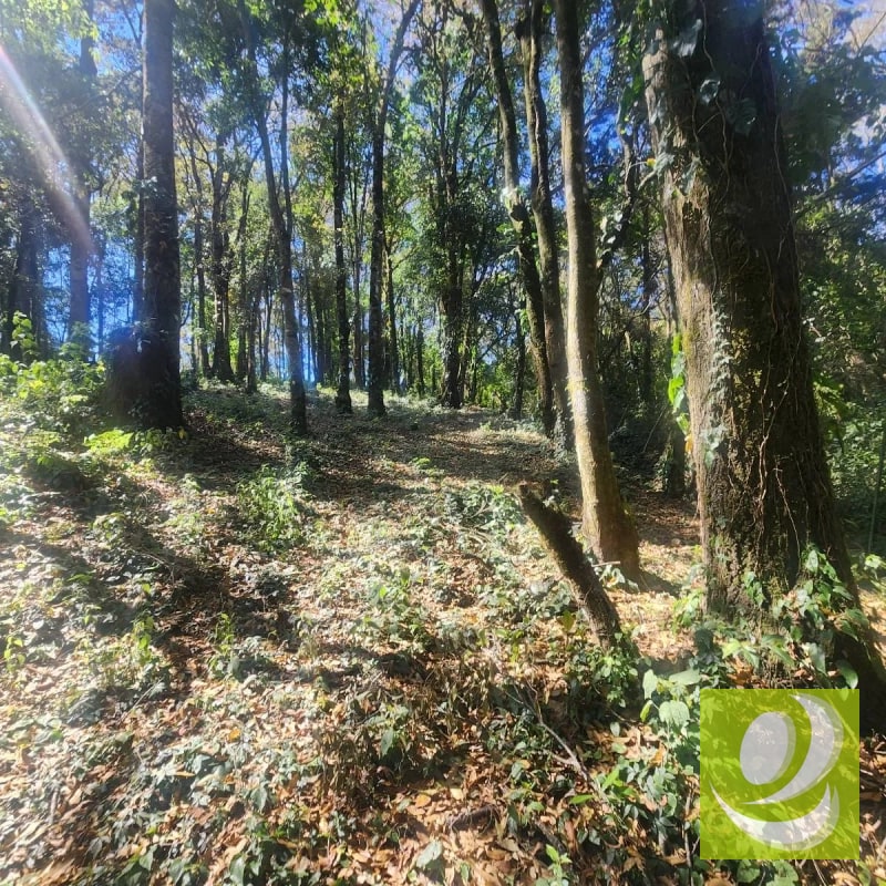 VENDO TERRENO RESIDENCIAL EN BOSQUE VIVO MIXCO - 1