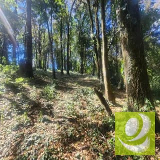 VENDO TERRENO RESIDENCIAL EN BOSQUE VIVO MIXCO — Terreno en Venta en Zona 1 Mixco, Guatemala, Ciudad — miniatura 2 de 4