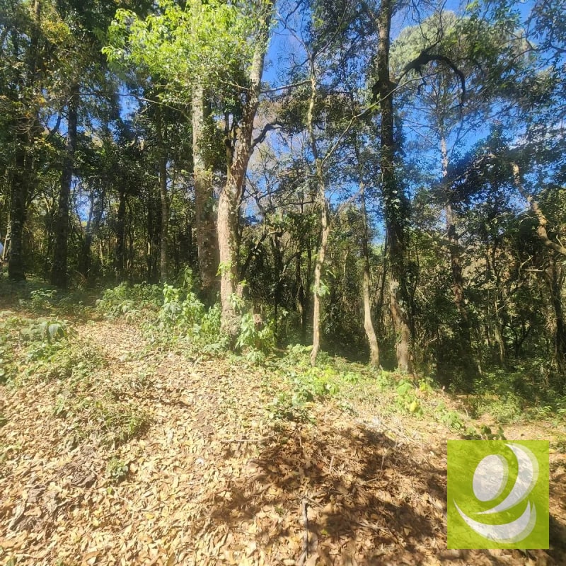 VENDO TERRENO RESIDENCIAL EN BOSQUE VIVO MIXCO - 2