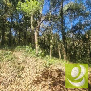 VENDO TERRENO RESIDENCIAL EN BOSQUE VIVO MIXCO — Terreno en Venta en Zona 1 Mixco, Guatemala, Ciudad — miniatura 3 de 4