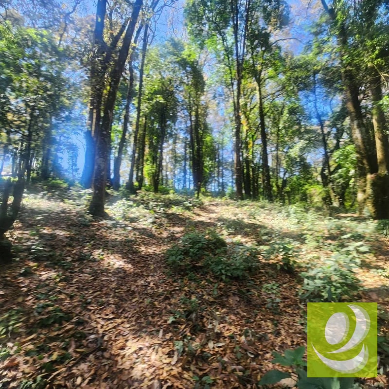VENDO TERRENO RESIDENCIAL EN BOSQUE VIVO MIXCO - 4