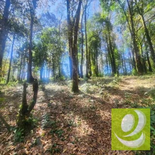 VENDO TERRENO RESIDENCIAL EN BOSQUE VIVO MIXCO — Terreno en Venta en Zona 1 Mixco, Guatemala, Ciudad — miniatura 4 de 4