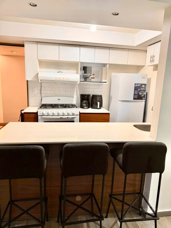 Zona 11 • Apartamento Amueblado en Renta • Edificio Aralia 1 - 13