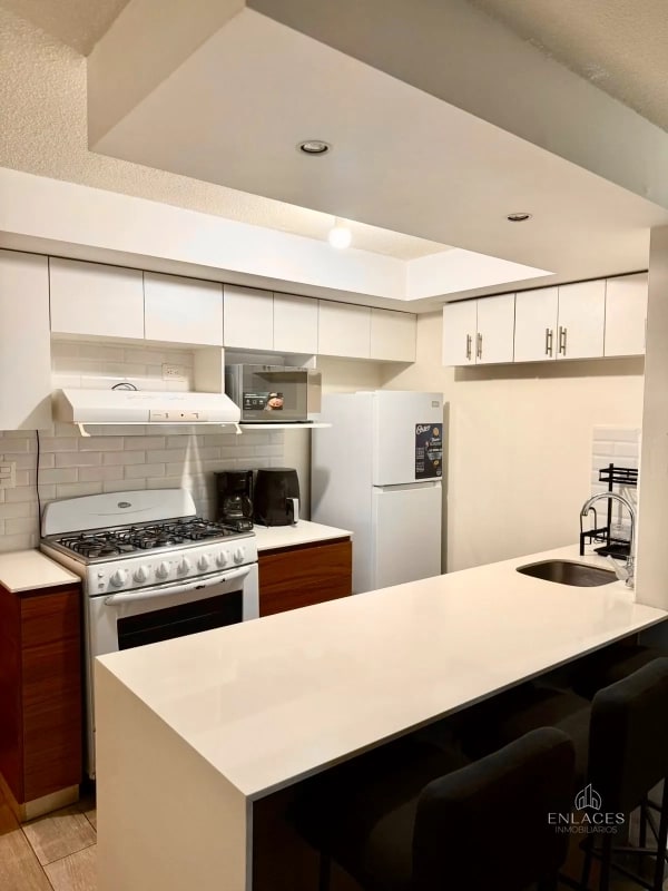 Zona 11 • Apartamento Amueblado en Renta • Edificio Aralia 1 - 5