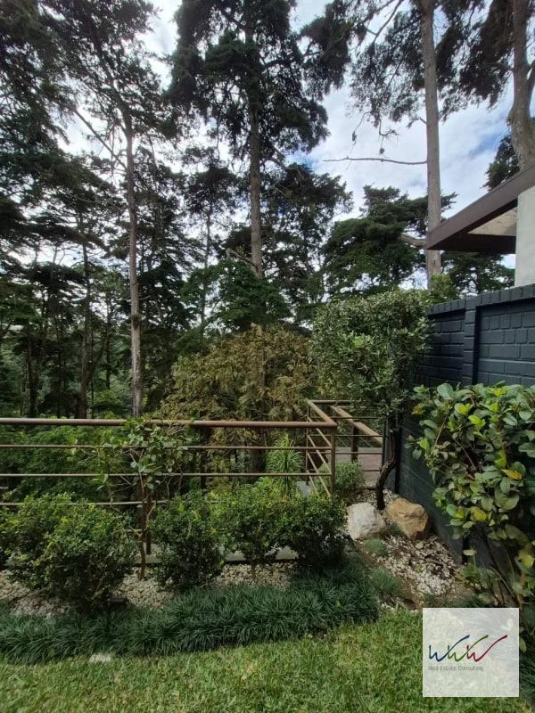 Vendo Casa en Bromelias, Concepción en Condado Concepción Km 15.5 - 9