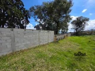 TERRENO EN RENTA EN XELA — Terreno en Alquiler en Quetzaltenango, Quetzaltenango — miniatura 4 de 4