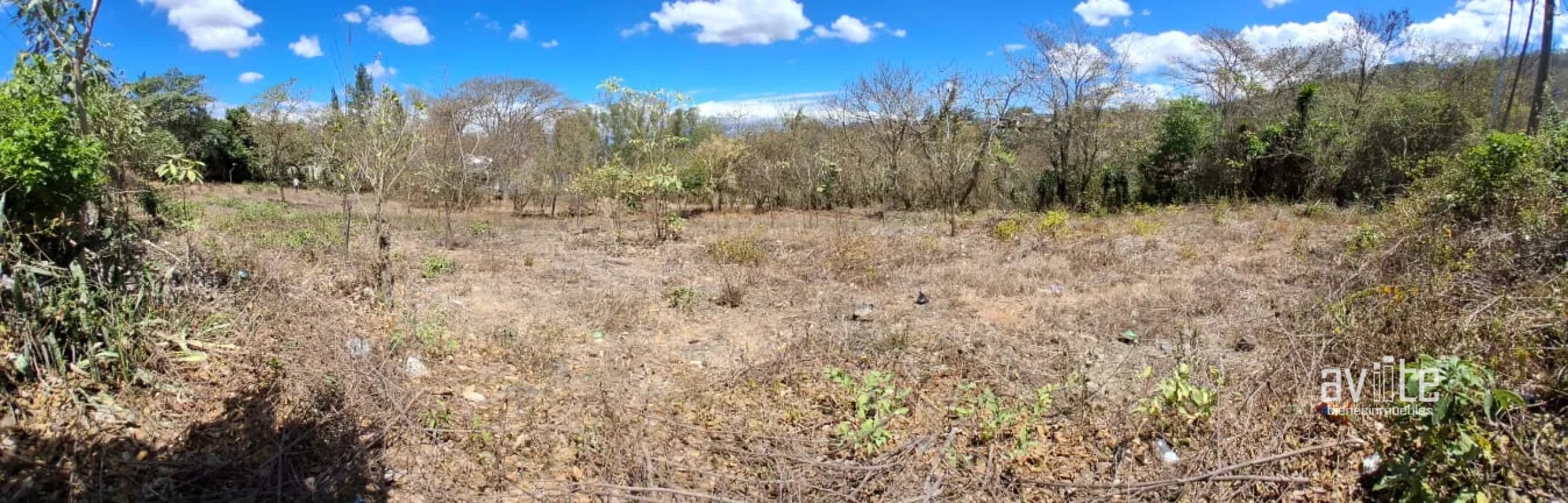 Terreno de 1,510 metros en San Antonio La Paz, El Progreso Q550,000 - 6