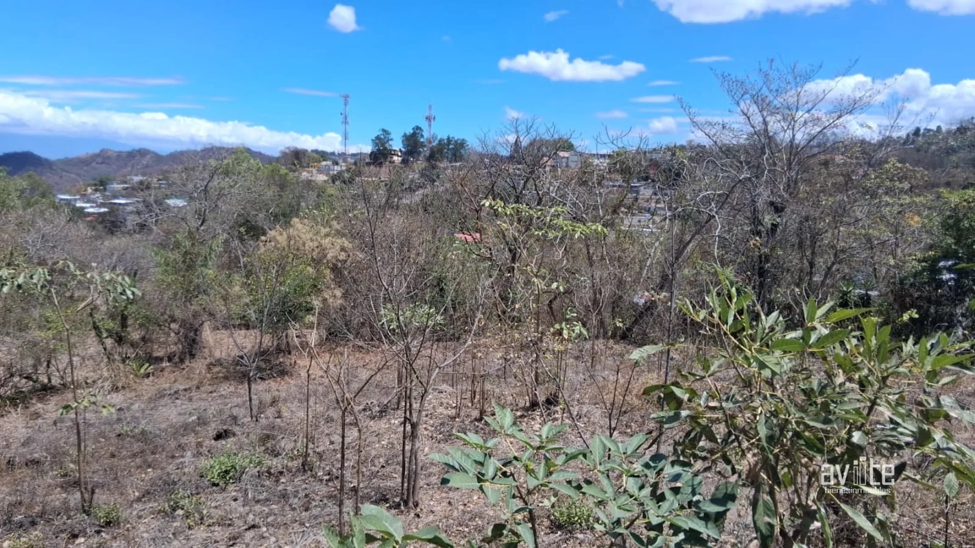 Terreno de 1,510 metros en San Antonio La Paz, El Progreso Q550,000 - 5