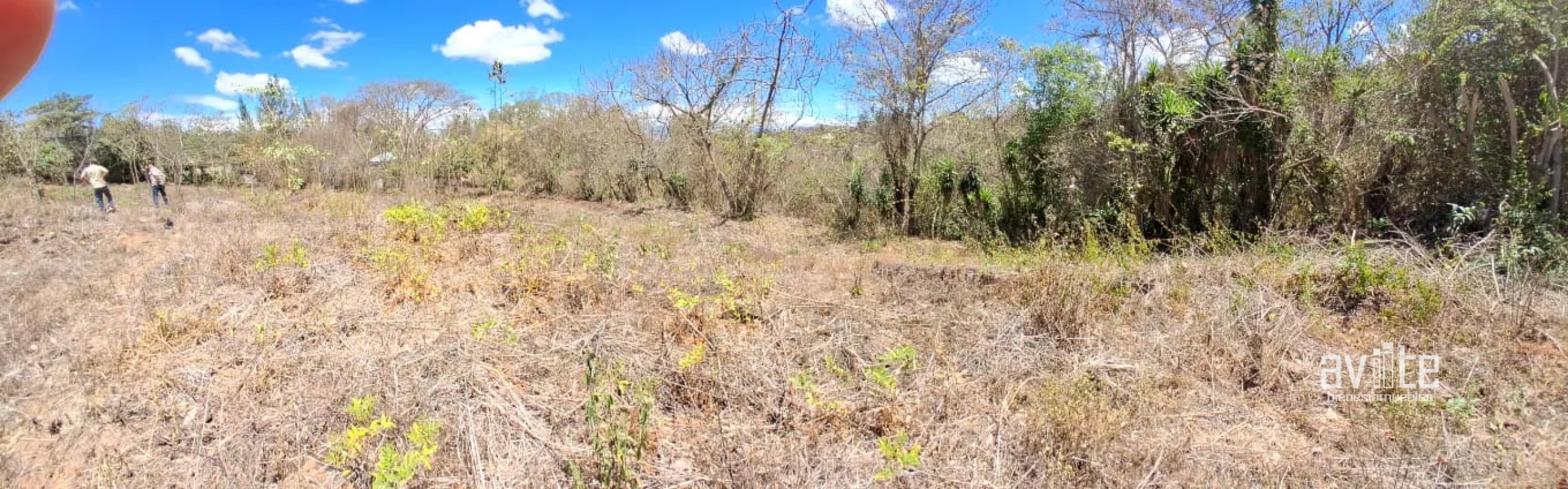 Terreno de 1,510 metros en San Antonio La Paz, El Progreso Q550,000 - 4