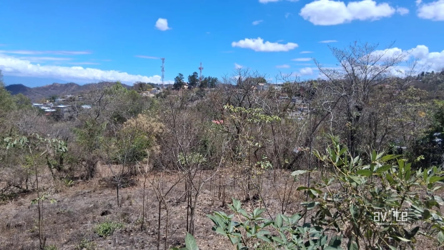 Terreno de 1,510 metros en San Antonio La Paz, El Progreso Q550,000 - 3