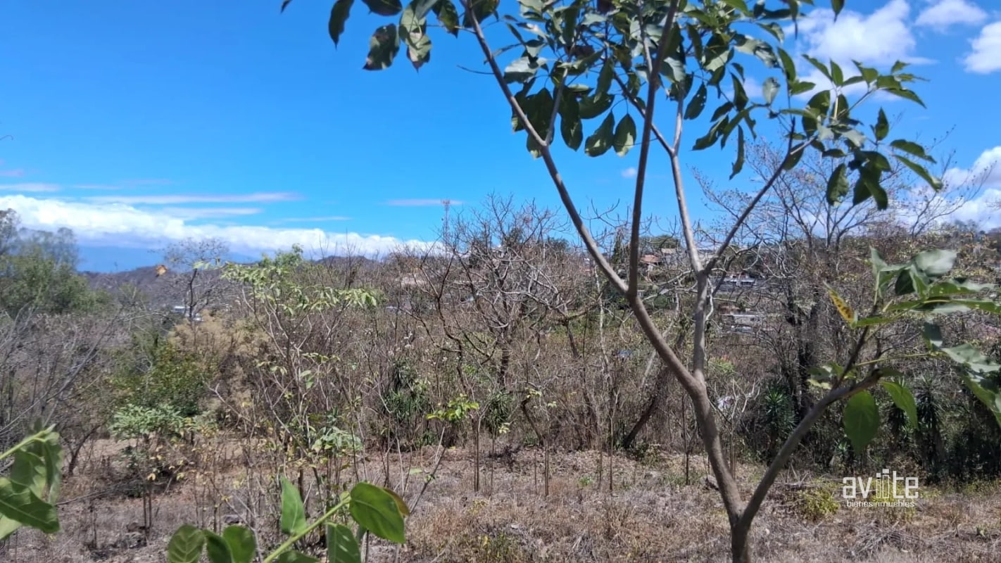 Terreno de 1,510 metros en San Antonio La Paz, El Progreso Q550,000 - 2