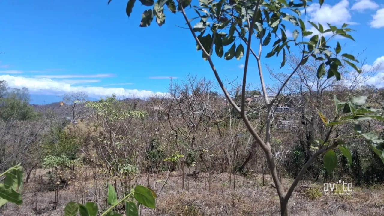 Terreno de 1,510 metros en San Antonio La Paz, El Progreso Q550,000 — Terreno en Venta en San Antonio La Paz, El Progreso — foto 3 de 7