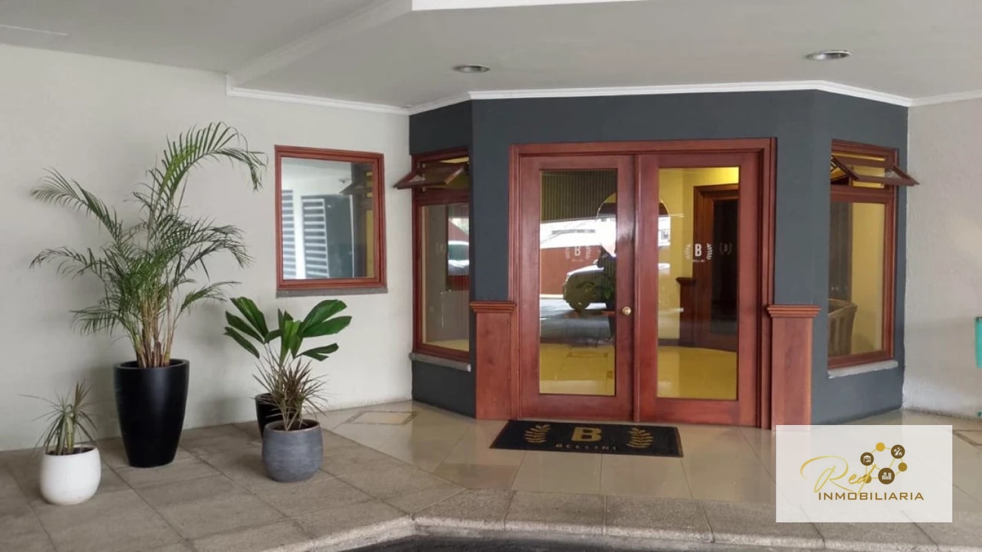 Apartamento en Alquiler Bellini zona 14 - 6