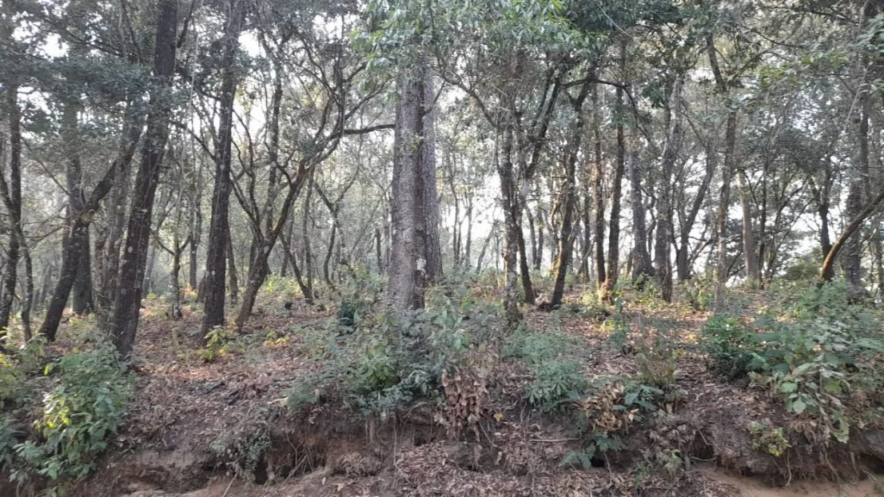 Terreno en Venta en El Encinal Zona 7 Mixco — Terreno en Venta en Zona 7 Mixco, Guatemala, Ciudad — foto 5 de 13