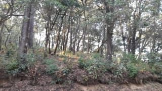 Terreno en Venta en El Encinal Zona 7 Mixco — Terreno en Venta en Zona 7 Mixco, Guatemala, Ciudad — miniatura 4 de 13
