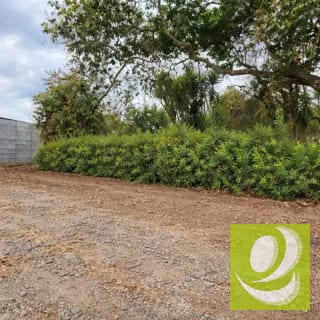 Vendo Terreno dentro de Mayan Golf Villa Nueva — Terreno en Venta en Villa Nueva, Guatemala, Ciudad — miniatura 11 de 11