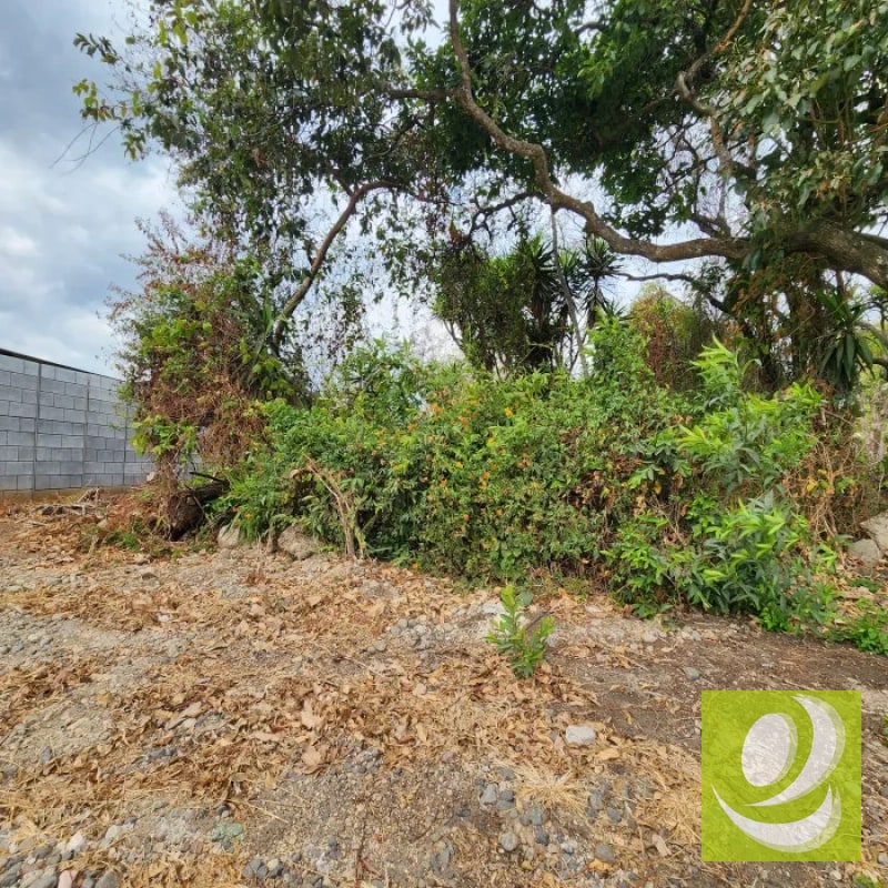 Vendo Terreno dentro de Mayan Golf Villa Nueva - 8